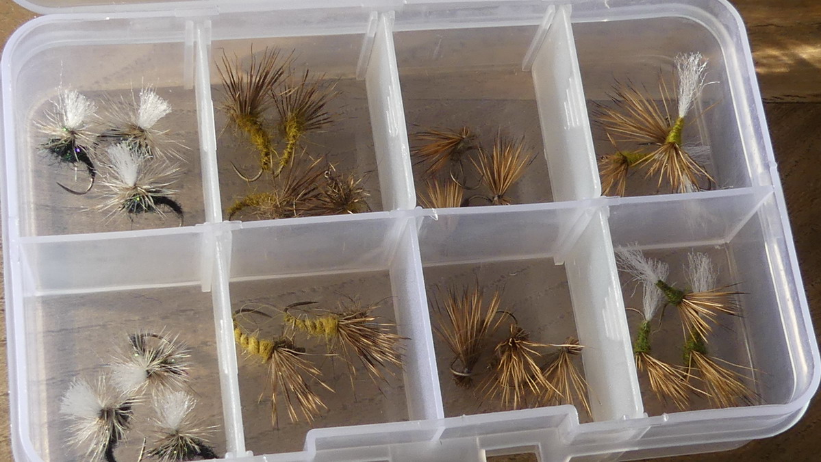 Which dry fly for trout? – Blue Zulu Fly Fishing